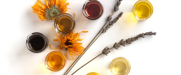 הדרכת זום – 17.11.25